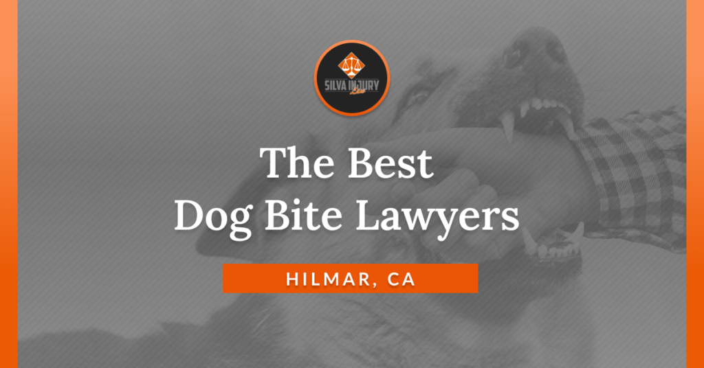 Best Hilmar dog bite lawyers