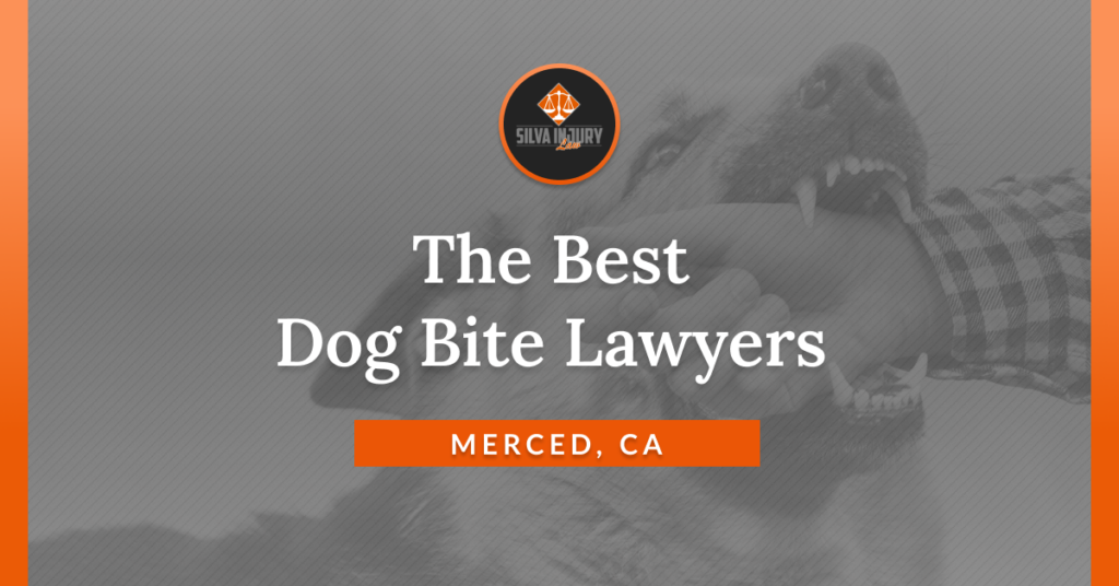 Best Merced dog bite lawyers
