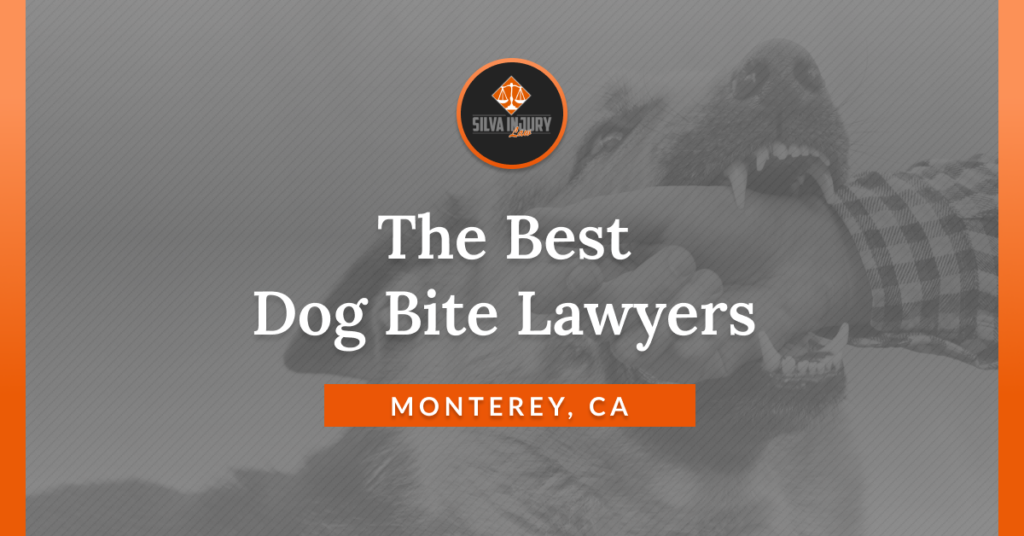 Best Monterey dog bite lawyers