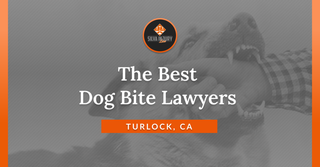 Mejor Turlock mordedura de perro abogados