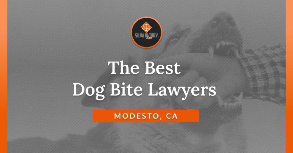 Best Modesto dog bite lawyers