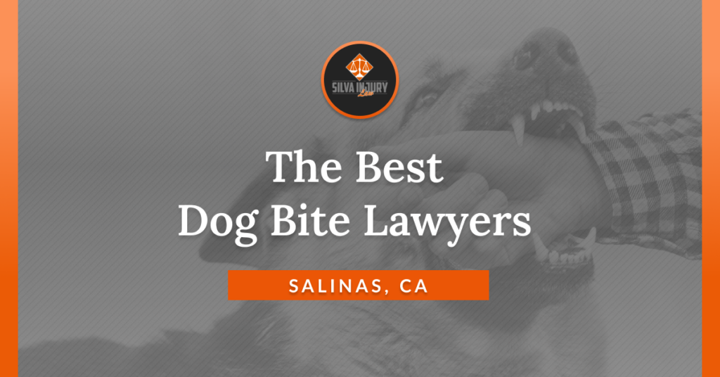 Best Salinas dog bite lawyers