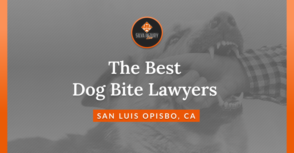 Best San Luis Obispo dog bite lawyers